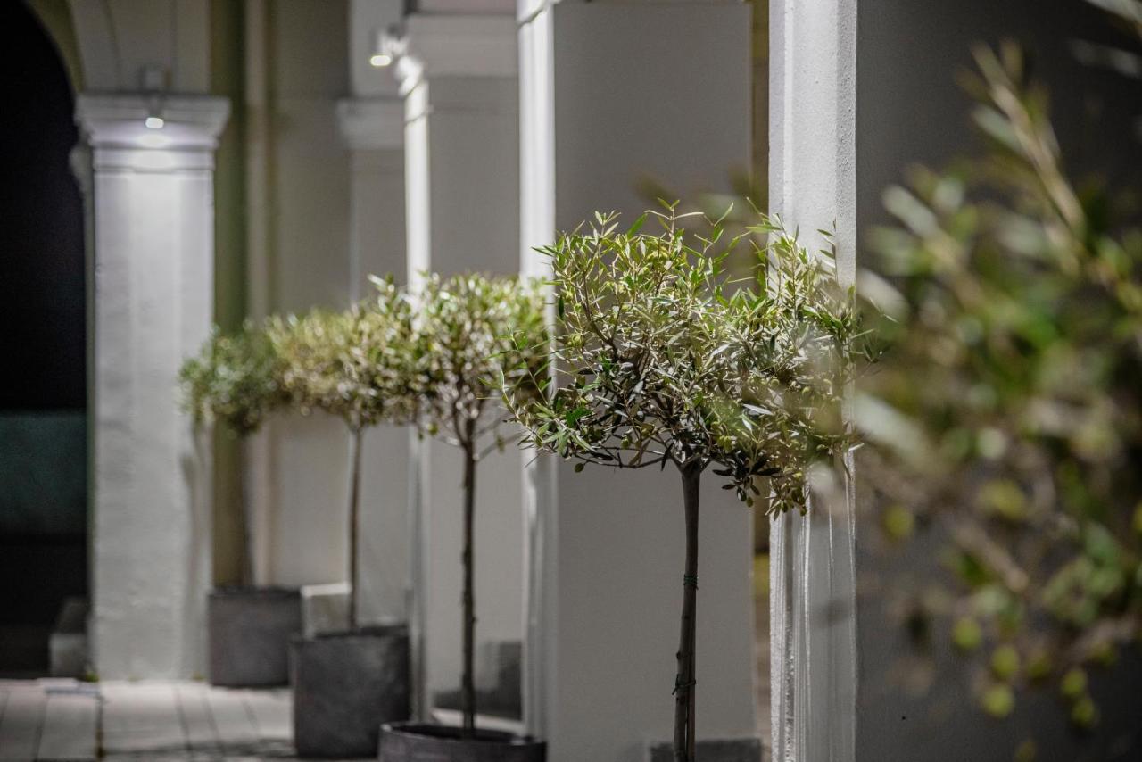 Olive Grove Beachfront Apartments & Seaview Suites (Adults Only) Kávos Exterior foto
