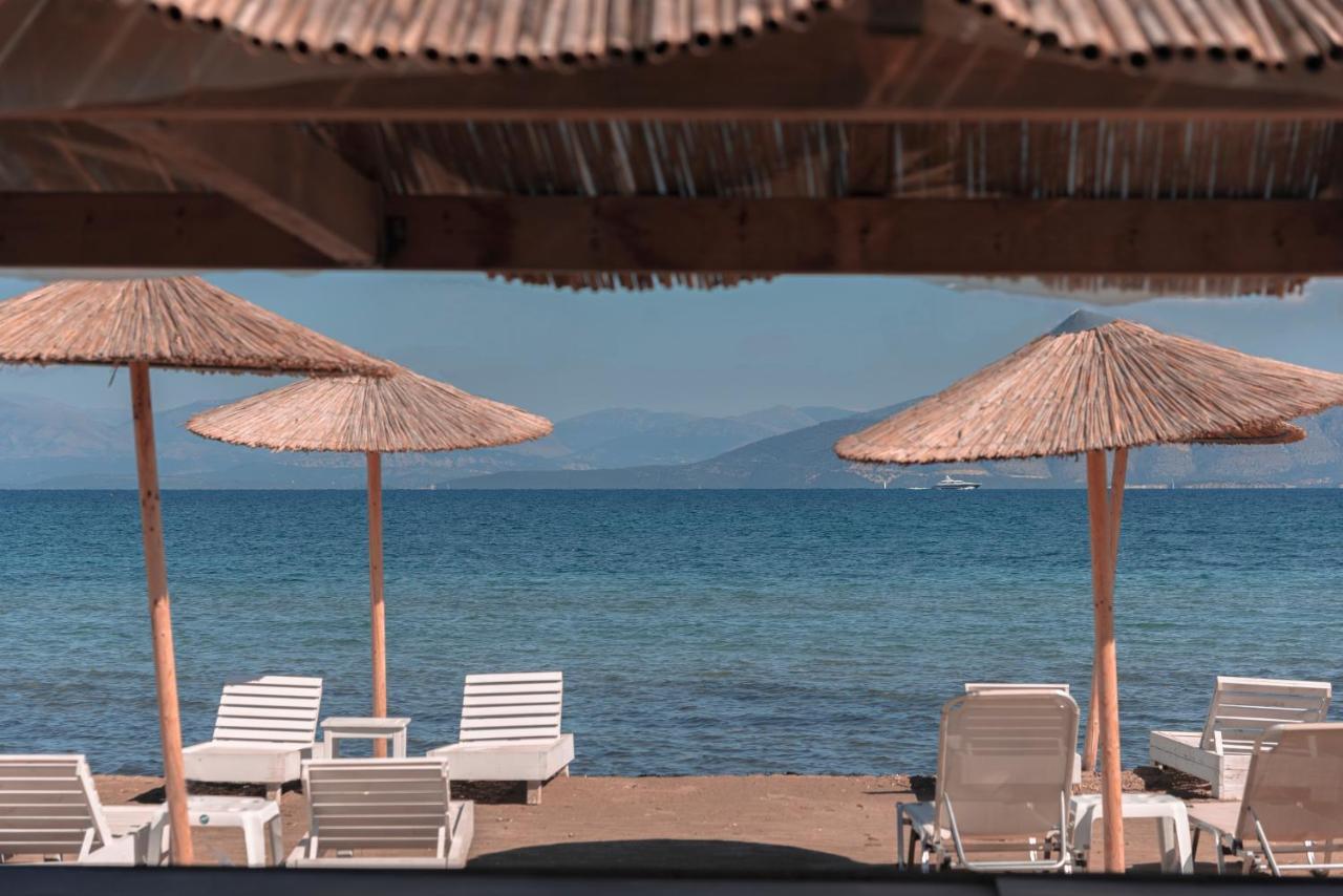 Olive Grove Beachfront Apartments & Seaview Suites (Adults Only) Kávos Exterior foto
